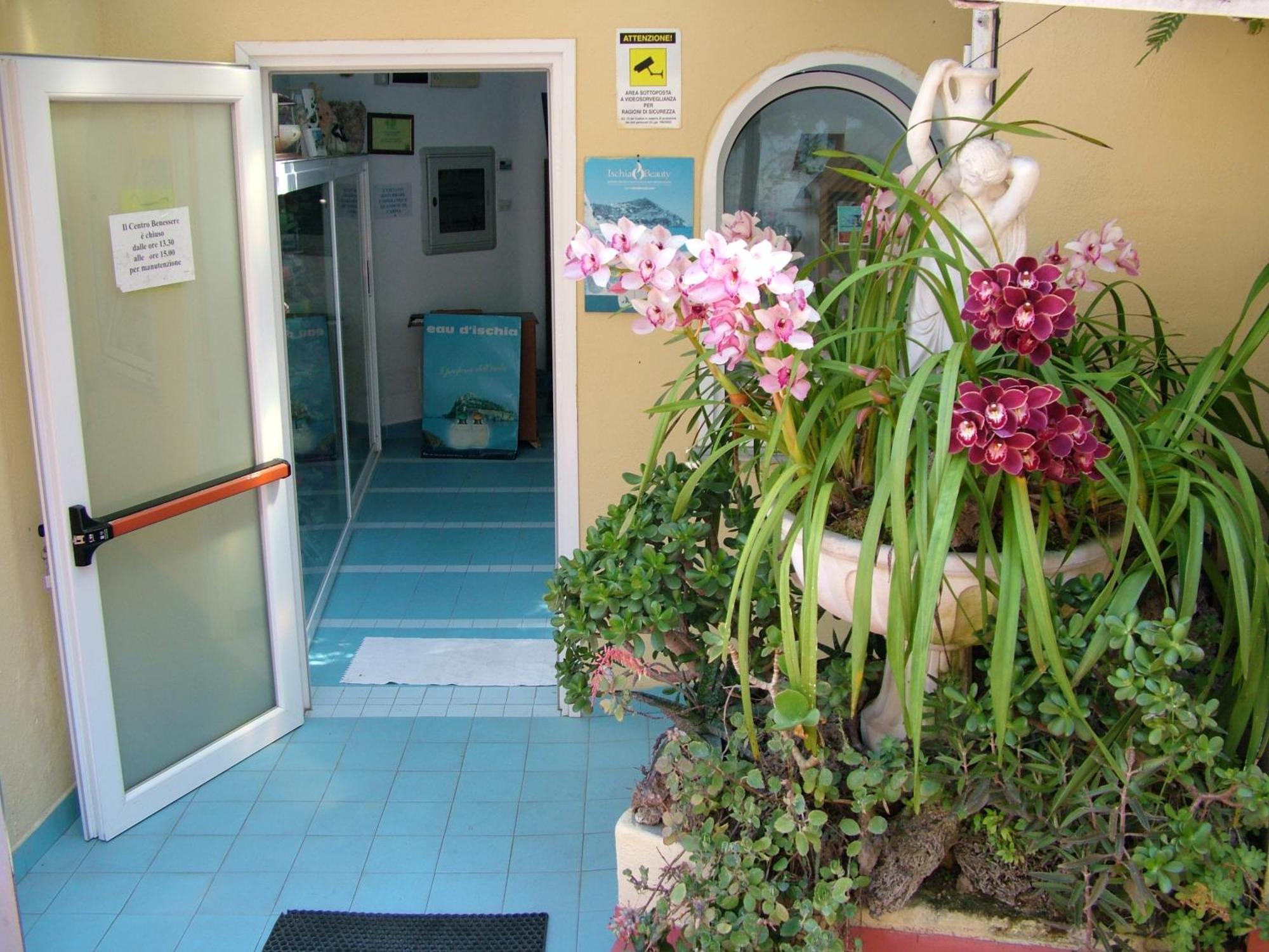 Hotel Giardino Delle Ninfe E La Fenice Ischia Luaran gambar