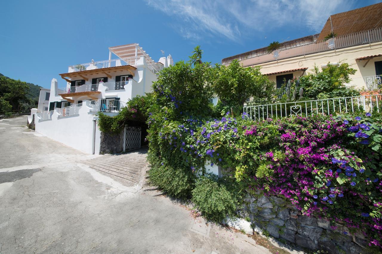Hotel Giardino Delle Ninfe E La Fenice Ischia Luaran gambar